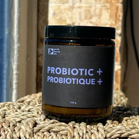 Probiotic Powder