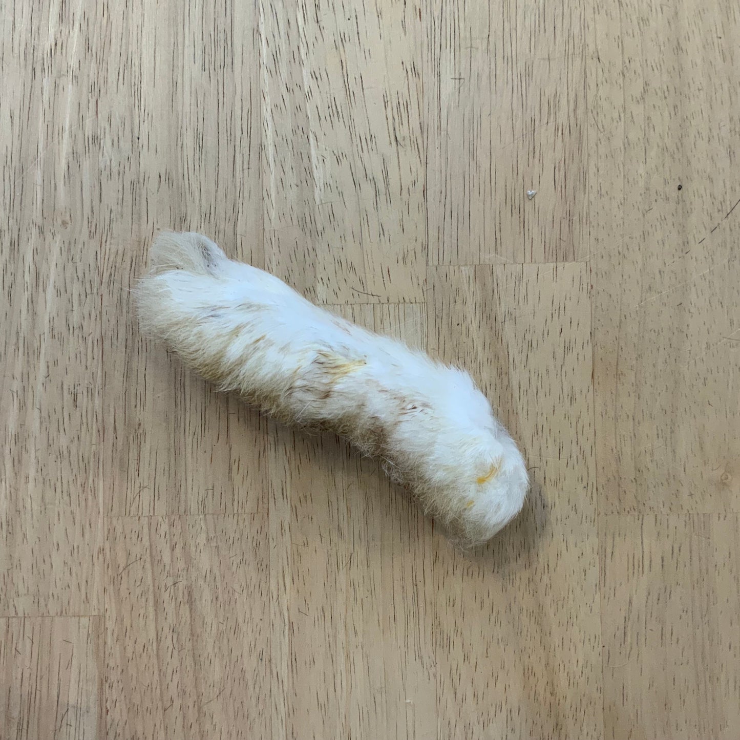 Rabbit Foot
