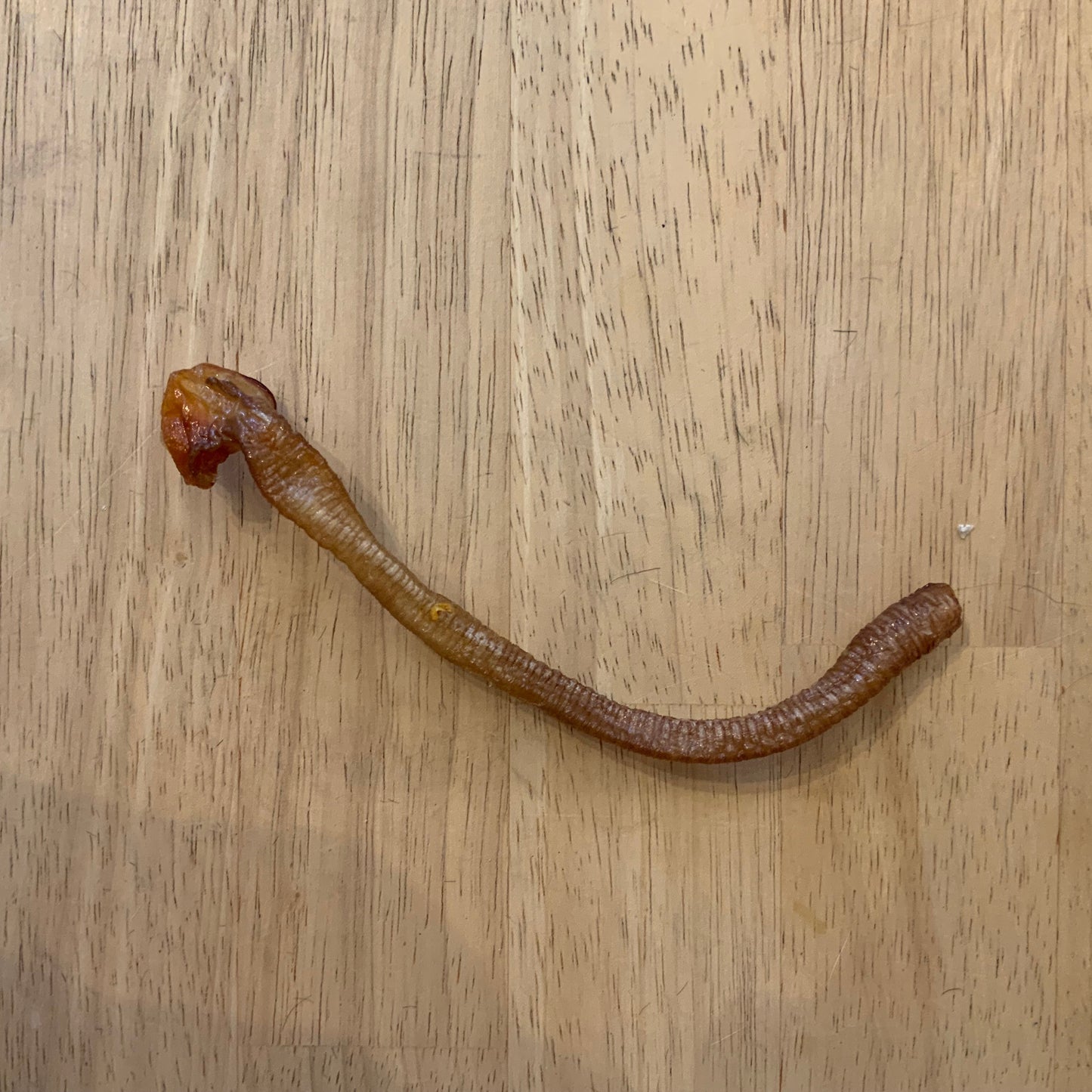 Air Dried Duck Trachea